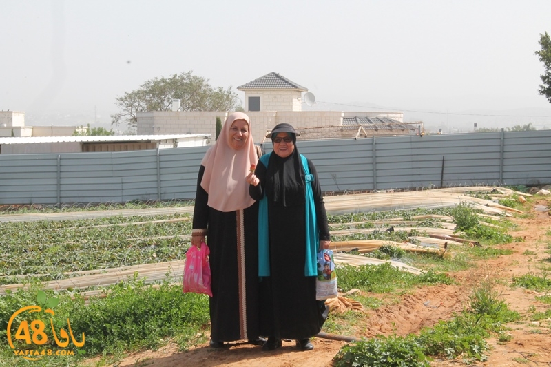 a7bab aqsa farawla (22).JPG